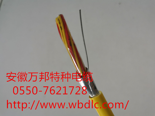 ZR-EX-GS-VPV 2*2*1.0