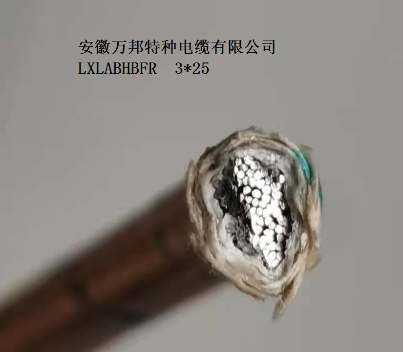 06778afced92f0de318c0272f37fe52.png