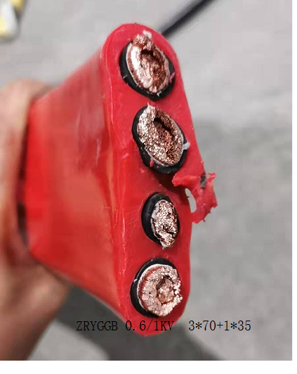 16419761543898.png 1641975916.png