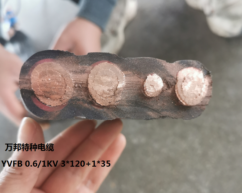 16835320043627.png 1683530344261.png