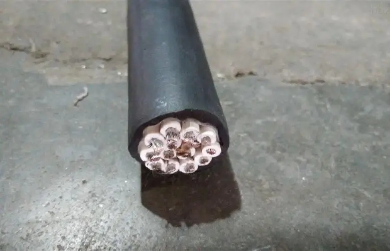 16891506838847.png 1683787030386.png