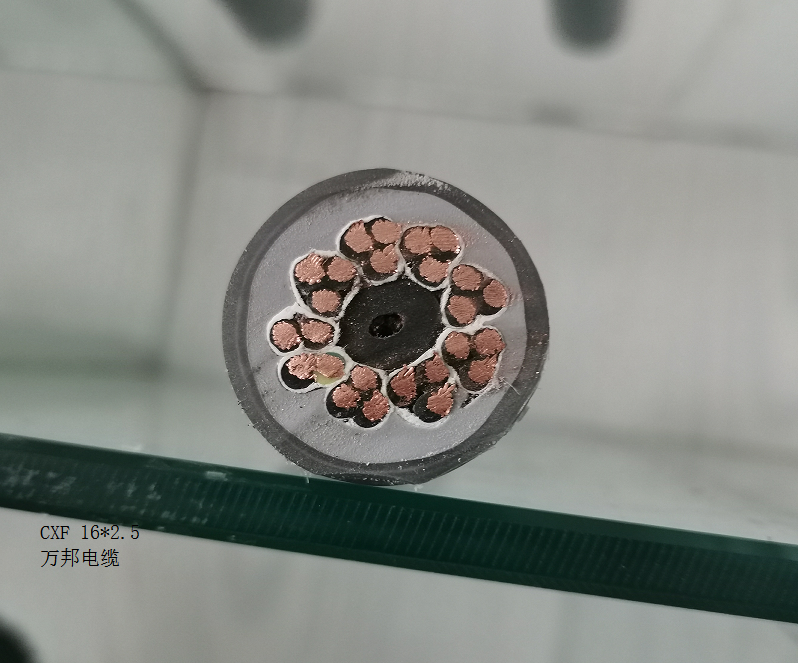 17128046997157.png 1647768628(1).png