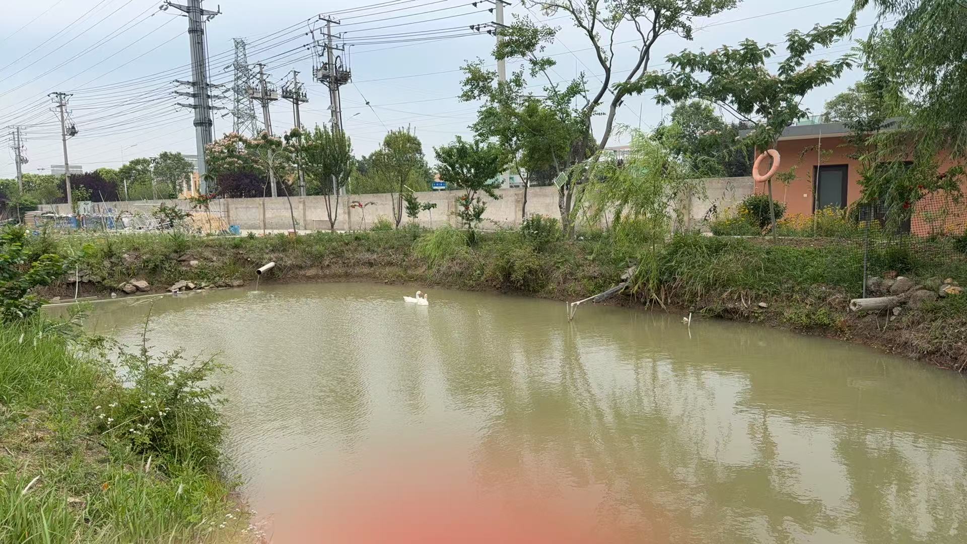 17503008961686.jpg 4ccaa6d995b4794356ad6f576f34167.jpg