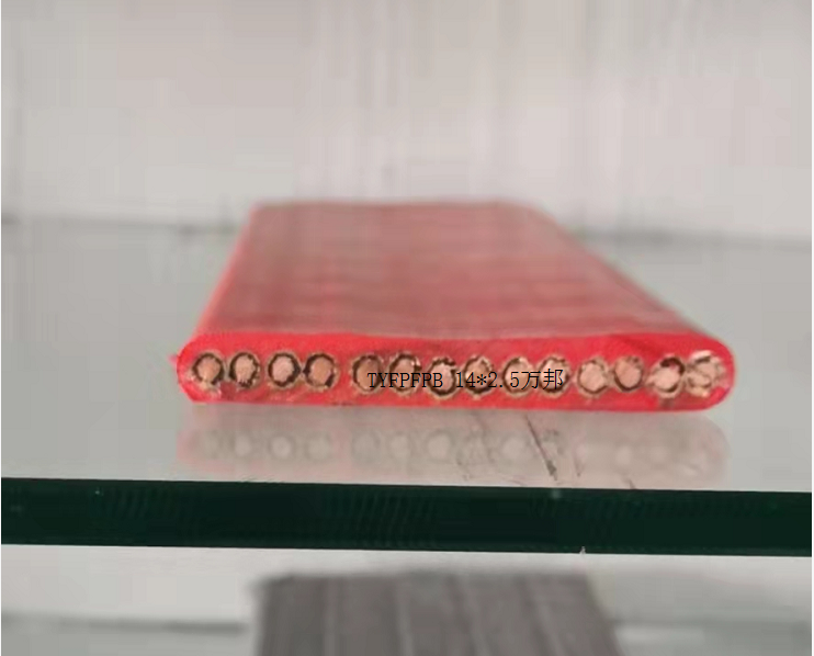 17521991627470.png 1648812516(1).png