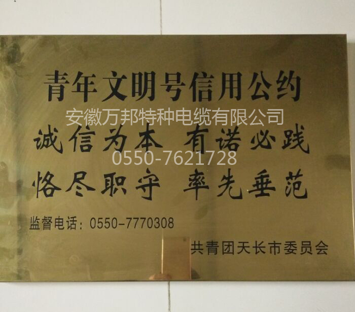 青年文明号信用公约